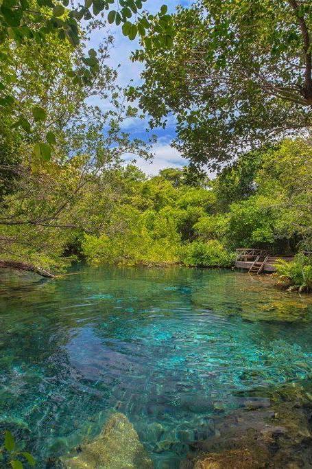 Reserva Ecológica Ojos Indígenas
